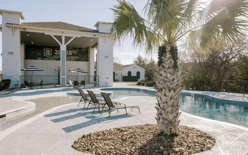 a pool with lounge chairs and palm trees